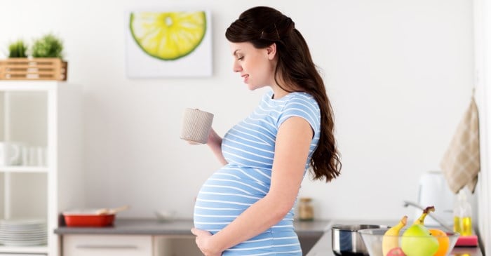 gravid kvinde tekop certificering, EU, økologi, te