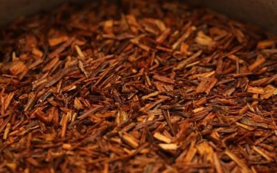 Hvad er afrikansk rooibos te?