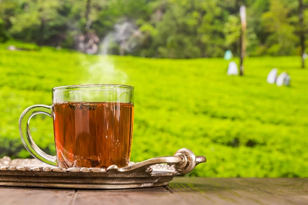 darjeeling tea in a glass cup