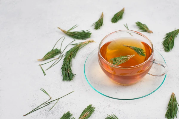 pine needle tea in a cup