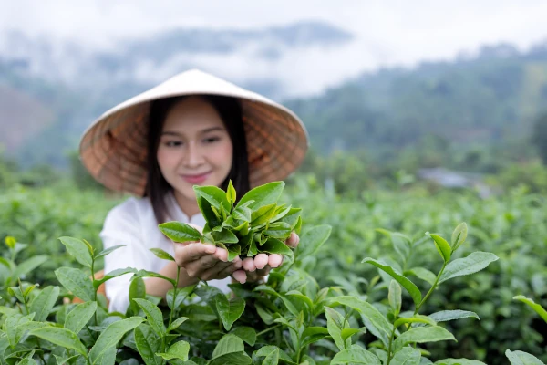 woman shows off perfect tea tops